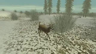 Hunting Unlimited 2 screenshot