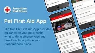 Hurricane by American Red Cross screenshot