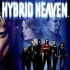 Hybrid Heaven
