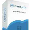 Hybrid MLM