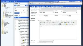 Hybris Software screenshot