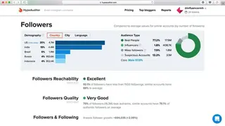 HypeAuditor screenshot