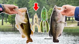 I Fishing screenshot