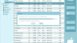 iAny Transfer screenshot