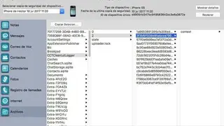 iBackup screenshot