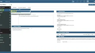 IBM BPM screenshot