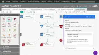 IBM Campaign screenshot