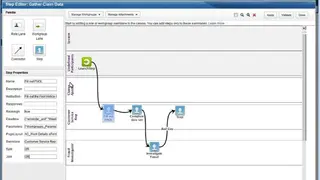 IBM Case Manager screenshot