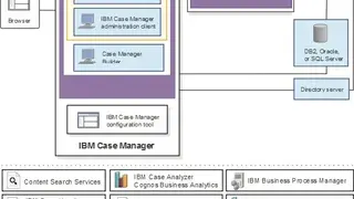 IBM Case Manager screenshot
