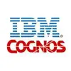 IBM Cognos Business Intelligence
