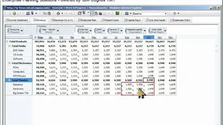 IBM Cognos TM1 screenshot