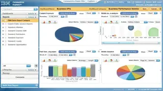 IBM Coremetrics screenshot