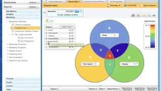 IBM Coremetrics screenshot