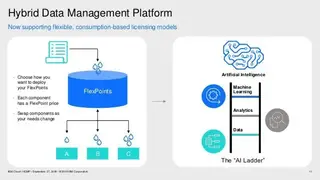 IBM Hybrid data management screenshot