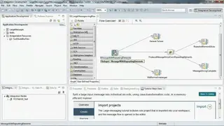 IBM Integration Bus screenshot