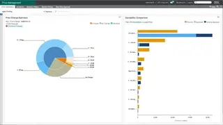 IBM Omnichannel Intelligent screenshot