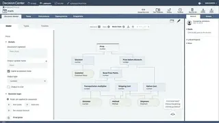 IBM Operational Decision Manager screenshot