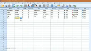 IBM SPSS Statistics screenshot