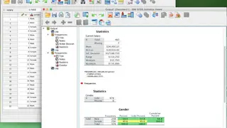 IBM SPSS Statistics screenshot
