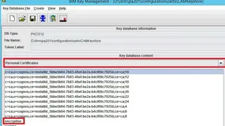 IBM SSL Certificates screenshot