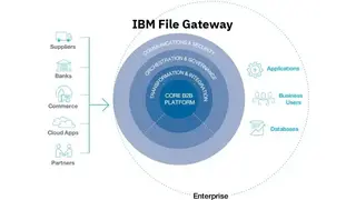 IBM Sterling File Gateway screenshot