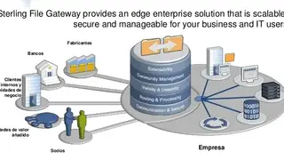 IBM Sterling File Gateway screenshot