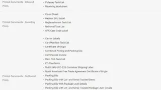 IBM Sterling WMS screenshot