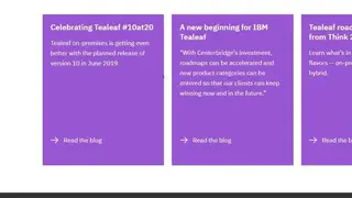 IBM Tealeaf screenshot
