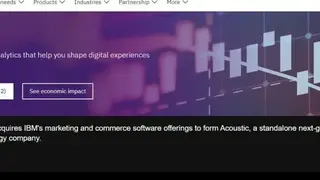 IBM Tealeaf screenshot