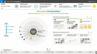 IBM Watson Campaign Automation screenshot