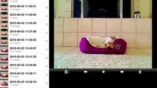 iCam – Webcam Video Streaming screenshot
