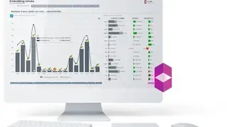 icCube screenshot