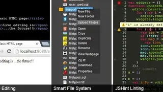 ICEcoder screenshot