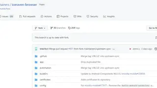Iceraven screenshot