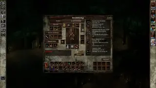 Icewind Dale screenshot