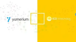 ICO Watchdog screenshot