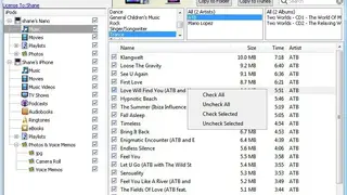 iCopyBot iPod to Computer Transfer screenshot