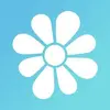 ICQ