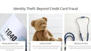 ID Watchdog screenshot