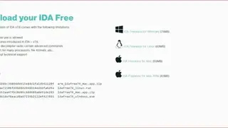 IDA screenshot
