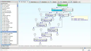 IDA screenshot