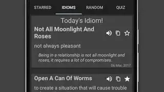 Idioms And Phrases screenshot