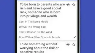 Idioms And Phrases screenshot
