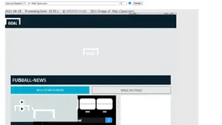 IE NetRenderer screenshot