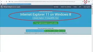 IE Tab screenshot