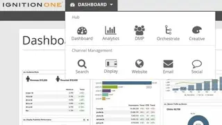 IgnitionOne Digital Marketing Suite screenshot