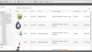 IgnitionOne Digital Marketing Suite screenshot