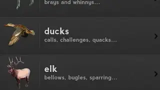 iHunt Calls screenshot