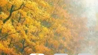 iLauncher screenshot