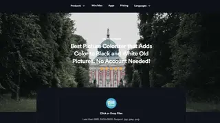 Image Colorizer screenshot